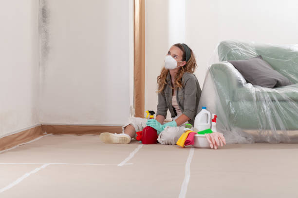 Reliable Mold Removal contractor in Bridgeport, TX by WQB Mold Removal